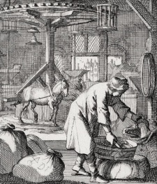 Pieter Antheunissen, overgrootvader van Pieter Breekpot is  grutter en lid van het gilde der boekweitmeelmakers.